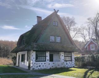 Darßer Strandgut - Haus Butzek - Ahrenshoop - 9