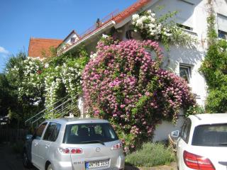 Möbliertes Zimmer, Plüderhausen - Plüderhausen - 8