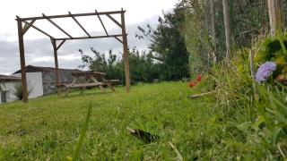 Our relaxing holiday home - Mosteiros - 2