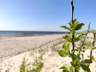 Apartamentai Millhouse LT - 8