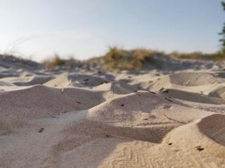 Apartamentai Millhouse LT - 1