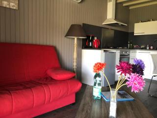 Domaine de Label, Spa, massages - La Salvetat - 3