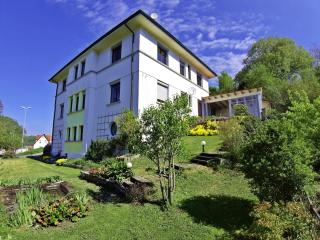 Ferienwohnung Albstadt Panorama - Albstadt - 0