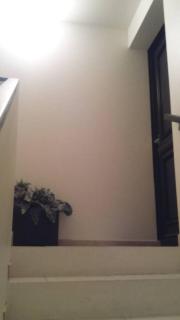 APPARTEMENT COSY ENTRE BOSQUET ET BEAUMONT - Pau - 8