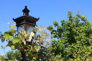 Guest House Shota - 4