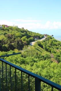 Guest House Shota - Sighnaghi - 1