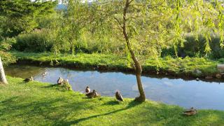 Rustic Inn River 2 - Lagos de Plitvice - 6