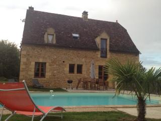 maison avec piscine perigord NOIR - Les Eyzies-de-Tayac - 5