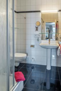 Hotel Neuer am See - Prien am Chiemsee - 4