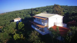 Patronis Studios - 7