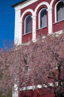 Agriturismo Tenuta Polledro - 3