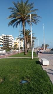 Edificio Attikos - Solo familias - Gandía - 7