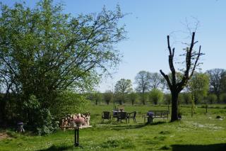 Appartement Rezonans - 8