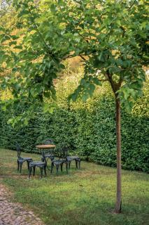 Agriturismo Tenuta Polledro - 7