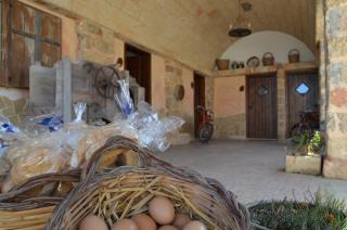 Masseria Grande - Taurisano - 1