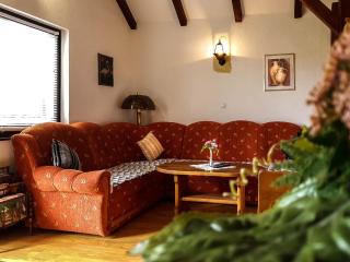 Apartment Franciska - 4