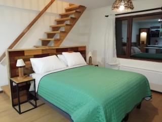 Casa Río Vivo - Valdivia - 1