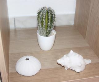 Clos Saint Médard - 3