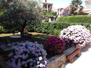 Apartments Nena - Pula - 6