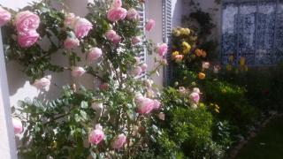 La Passerose 3 pièces avec jardin au calme,à 300m de la plage, - 4