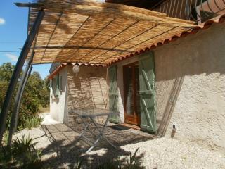 Lorgues, La Tourelle, immense piscine, plongeoir, vue, au grand calme - Lorgues - 6