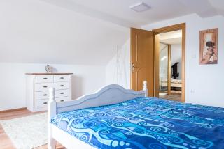 Wineyard getaway house - Sevnica - 2