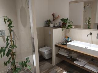 Le Térébinthe B&B - Lauris - 5
