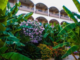 Paradise Lost Hotel-Apartments - 6
