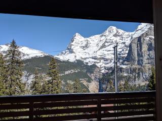 Hotel Alpenblick Mürren - Mürren - 2