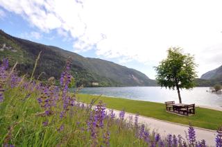 Hotel Olympia - Molveno - 7