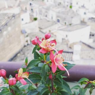 Sole di Paglia - Matera - 7