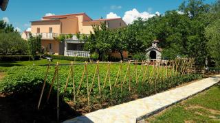 Apartmani Natalija i Zala - Vodice - 2
