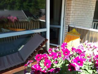Miro Apartament - Sinaia - 7