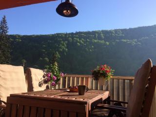 Miro Apartament - Sinaia - 9