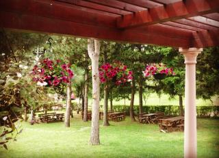 Vila Davidovic-Fruska gora - Manđelos - 4