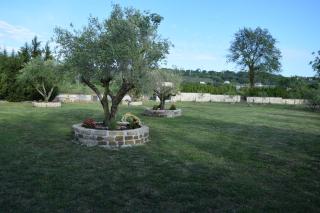 Tenuta Ferrara - Altavilla Silentina - 3