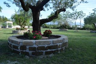 Tenuta Ferrara - Altavilla Silentina - 2