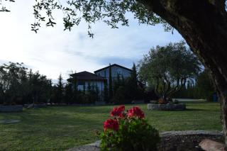 Tenuta Ferrara - Altavilla Silentina - 5