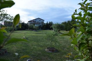 Tenuta Ferrara - Altavilla Silentina - 1