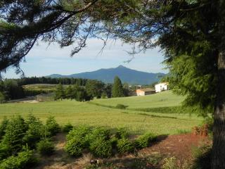 Hotel Ripoll - 2