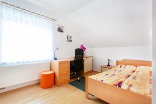 Orchid room for 2, Skylight room for 2 - Kranj - 1