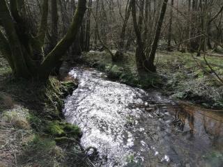 Wray Valley - Moretonhampstead - 1