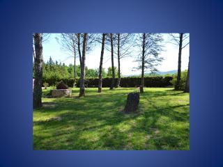 Domaine de La Tour - 2