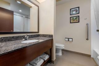 Comfort Suites Lafayette University Area - Lafayette - 2