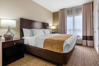 Comfort Suites Lafayette University Area - 4