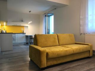 apartmán Poděbradka - Plzeň - 8