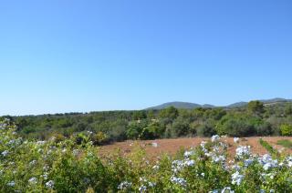 Finca Son Blat - Porto Cristo - 2