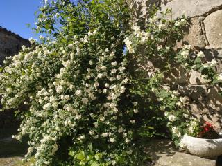 Casa Roan y Casa Grande - 3