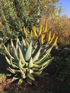 Little Acres Drakensberg Accommodation - 3