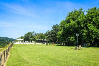 Colle Bertini - Montaione - 5